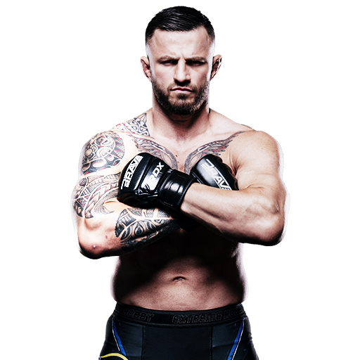 fighter