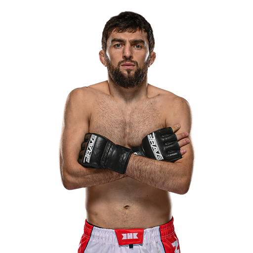 fighter