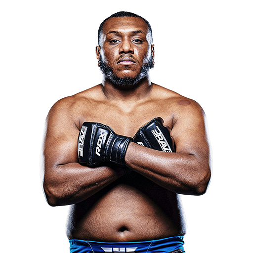 fighter